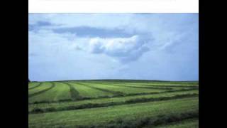 Girls in Hawaii - Flavor