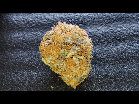 download lagu mp3 mp4 Candy Haze, download lagu Candy Haze gratis, unduh video klip Candy Haze