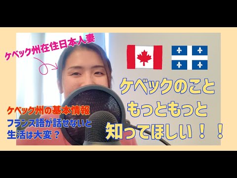 ルネ・レヴェスク大通り (ケベック州) - 定義