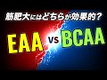 【EAAvsBCAA】筋肥大にはどっちが効果的?【ビーレジェンド プロテイン】