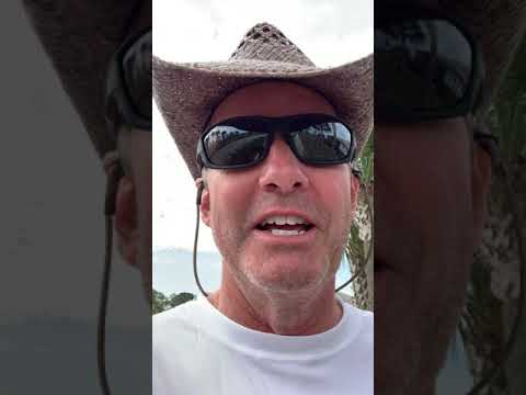 Sorry, no lesson today!