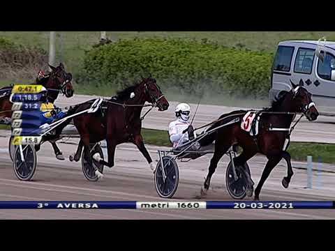 Aversa trotto 20 Marzo 2021 - 3° Corsa