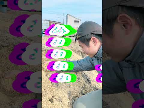 冬に堆肥が湿りすぎるのはなぜですか?原因と解決策！  庭園