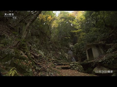 【佐賀県唐津市の風景：4K映像】滝の観音(令和7年11月26日撮影：半田）