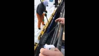 Ловля корюшки во владивостоке весной