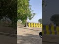 Pinda De Jaye Sajjan Adeeb Status