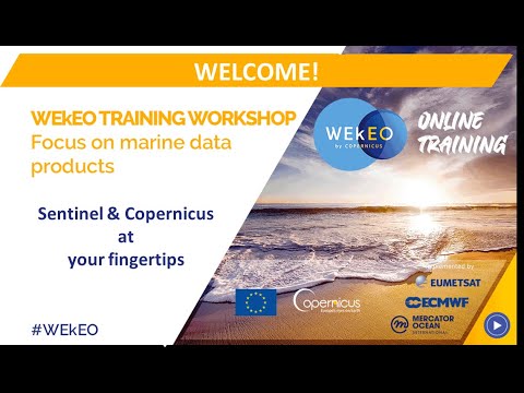 WEkEO Online Training - Focus on marine data products