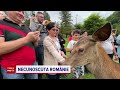 Experiențe Inedite Pe Valea Avrigului