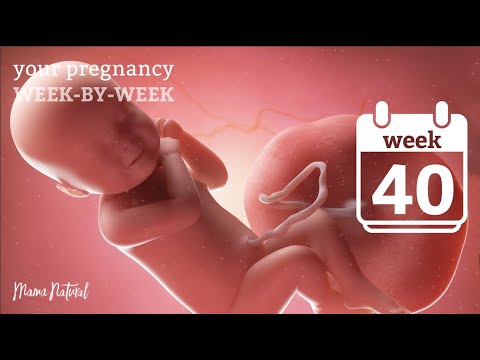 40 Weeks Pregnant - Natural Pregnancy Week-By-Week