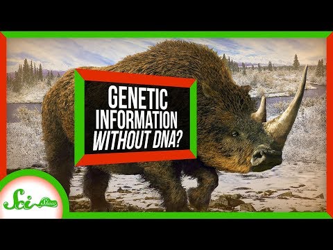 This Ancient Tooth Could Shake Up How We Study Evolution | SciShow News