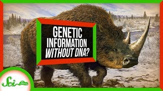 This Ancient Tooth Could Shake Up How We Study Evolution | SciShow News