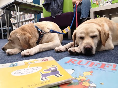Selby Library to start Read2Dogs scheme for kids