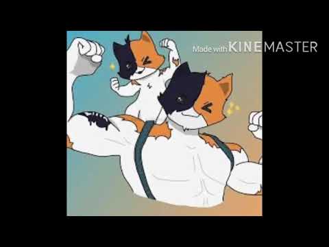 I LOVE MY KITTY CAT!!!