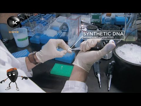 Creating Synthetic Life