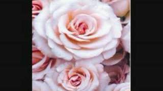 No video Pure music - Wolfshiem - I Care For You