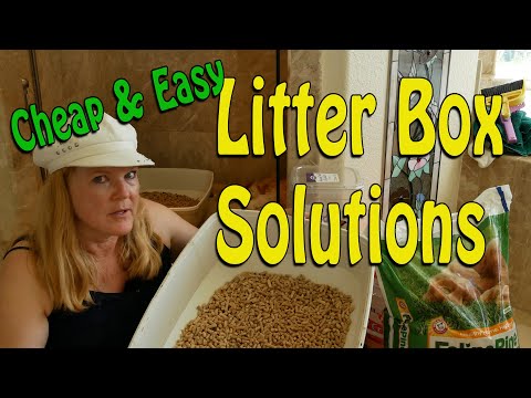 Large Cat Litter Box Solutions - Five Tips to Help with Mess, Cost and Smell