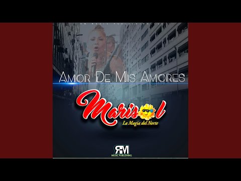 Amor de Mis Amores