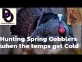 TURKEY HUNTING Spring Gobblers When The Temps Get COLD