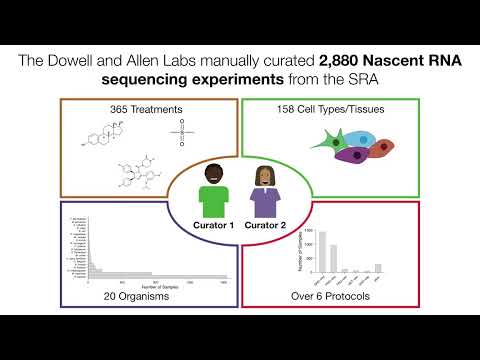 Regulatory Network Inference Using Nascent RNA... - Rutendo Sigauke - RegSys - Poster - ISMB 2022