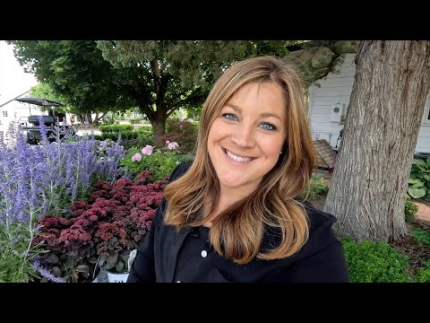 Planting Sedum, Russian Sage & a Lilac Rose! 💚🌿💚 // Garden Answer