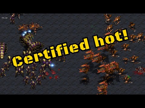 Brain vs SanFrancisco - The second part of the epic best of five!