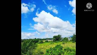 Download lagu Huang Qing Yuan Nonstop mp3