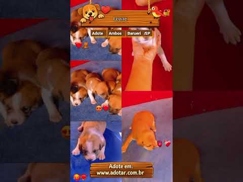 Vídeo de Luane 