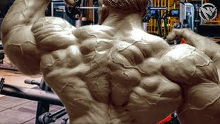 BACK DAY - BEST PREWORKOUT MOTIVATION 💥