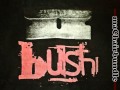 Bush - Distant Voices