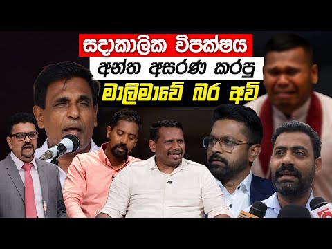 විපක්ෂය අසරණ කරපු මාලිමාවේ බර අවි | Sinhala memes | Sri Lankan Political memes 2026 #sinhalamemes