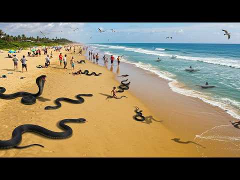 World's Deadliest Beach That People Still Love To Visit