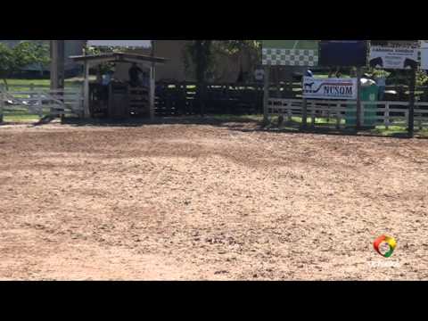 20º Rodeio do Conesul - Laço Amador - Quinta