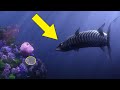 What Finding Nemo Was REALLY About Clues Were Strikingly Obvious Throughout The Movie