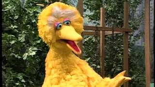 Big Bird's Song gameplay video by tmargison, 1:26 duration