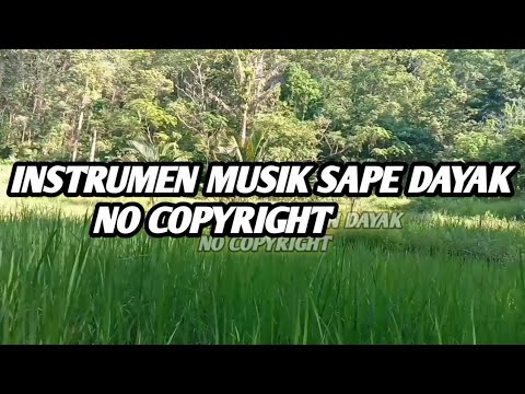 INSTRUMEN SAPE DAYAK || NO COPYRIGHT 2021