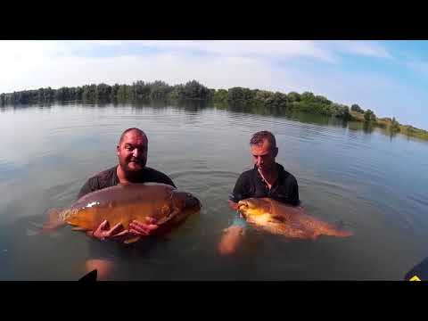 Lőkösháza Crazy Carp Team 2018.07.23-29 Horse Baits team tagjai 22.5 kg es 18.5kg C&R