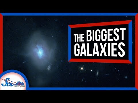 最大の銀河はどこから来るのか？ (Where Do the Biggest Galaxies Come From?)