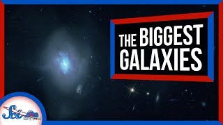 Where Do the Biggest Galaxies Come From?