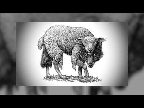 Sayone'C - apparence trompeuse (Officiel Audio) 🐺🐑 #loup #mouton #apparence