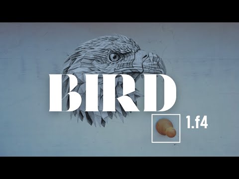 Bird Opening: Ideas, Structures, Principles, Theory, Transpositions · Chess Openings