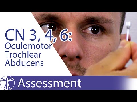 Cranial Nerves 3, 4, 6 Examination | Oculomotor, Trochlear, Abducens Nerve Physiotherapy Assessment