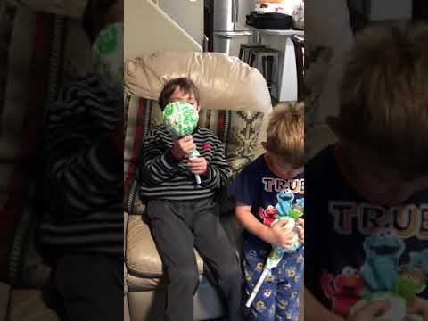 The Hemmi House. Suckers