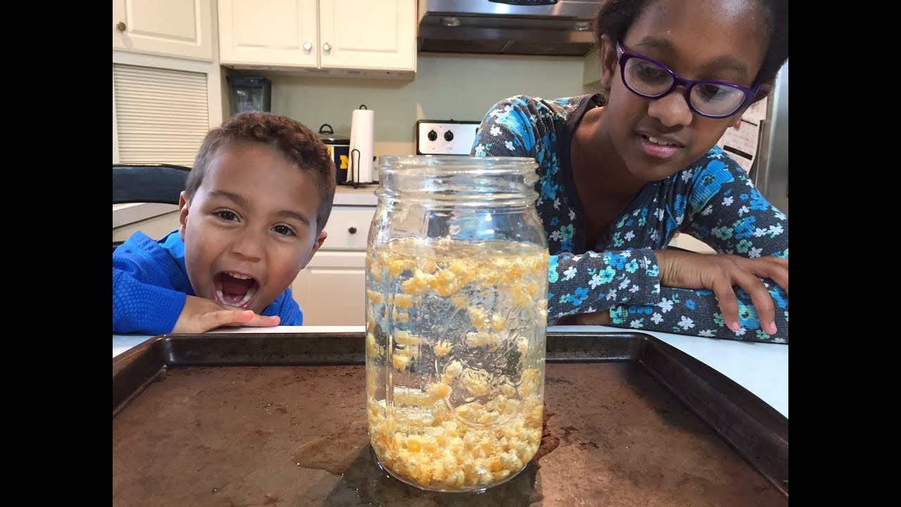 Dancing Popcorn Experiment: Easy Science Experiments For Kids