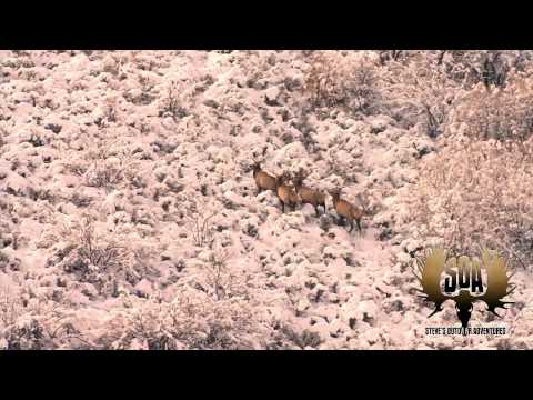 Burris Eliminator Laser Scope