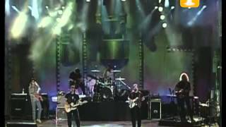 Creedence Clearwater Revisited, Cotton Fields, Festival de Viña 1999