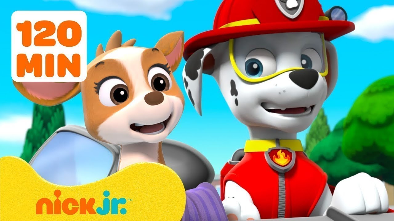 Patrulha Canina Resgata Filhotes de Animais! com Marshall | Nick Jr. em Português
