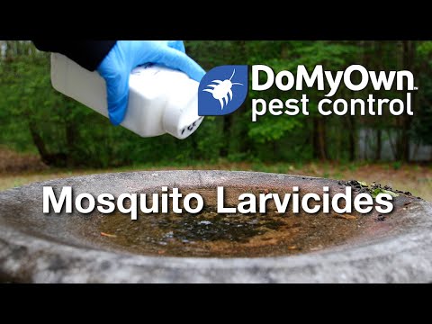  Benefits of Mosquito Larvicides Video 