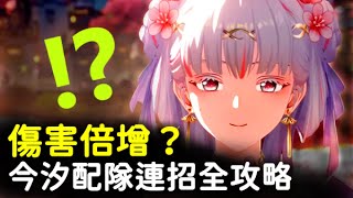 [鳴潮] 有沒有猴子也能懂的角色說明？