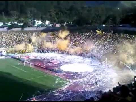 "Avalancha Sur! Deportivo Tachira" Barra: Avalancha Sur &bull; Club: Deportivo Táchira