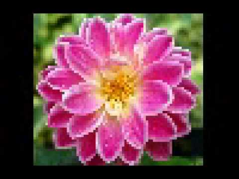 Ven. Kukulpane Sudassi Thero 170 Sitha Puhunukireema